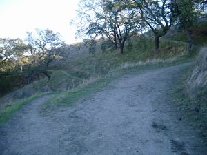 divided path
