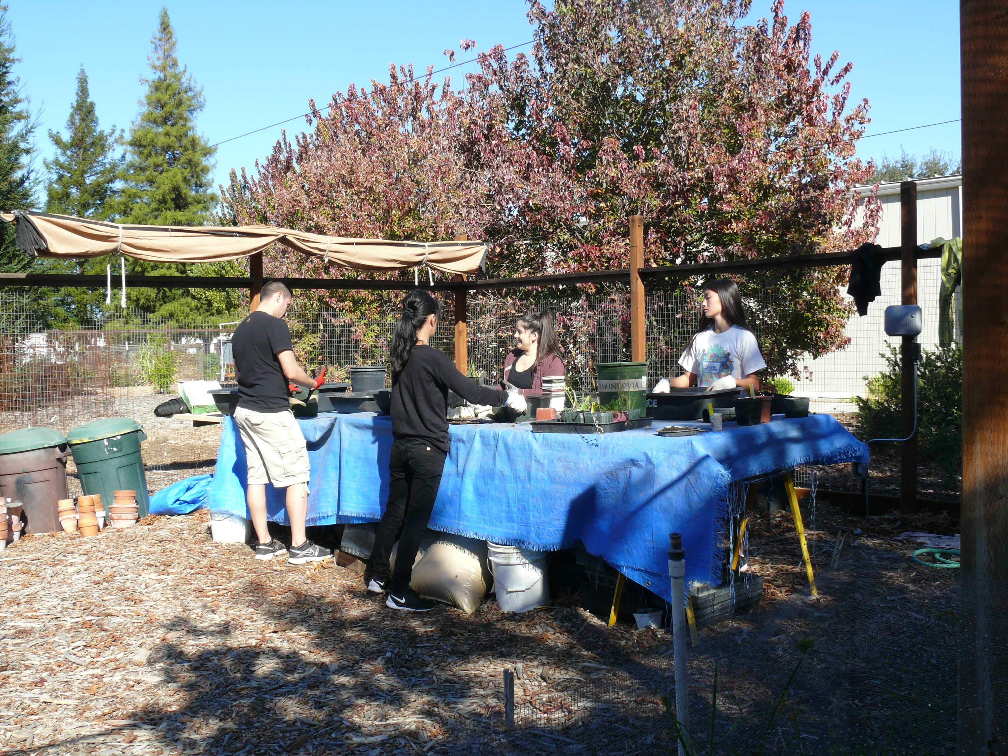 nursery volunteers