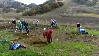 Volunteers hard at work prepping one of our grass and plant restoration sites in Shell Ridge