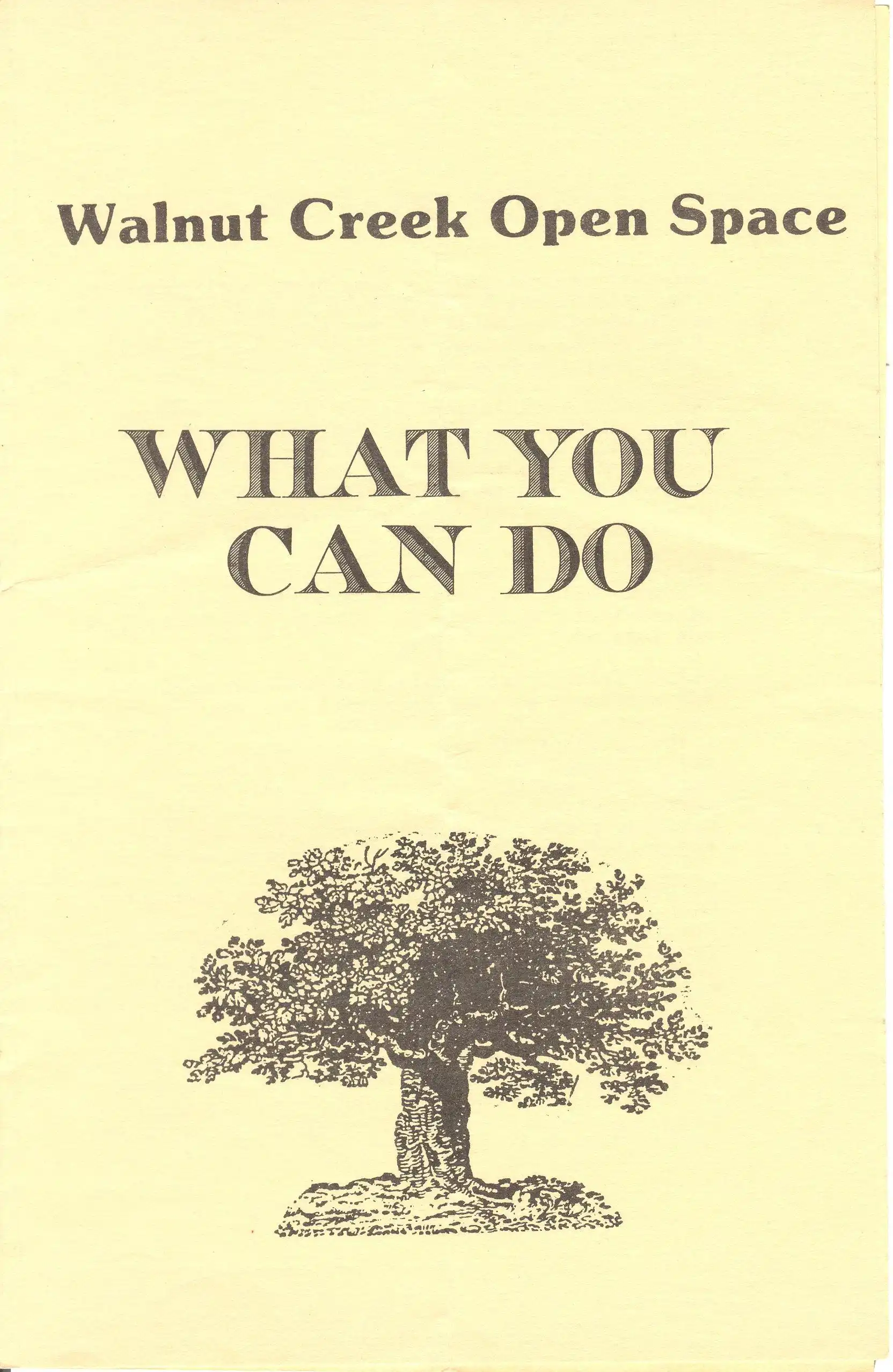 Brochure cover from early years of the Foundation.