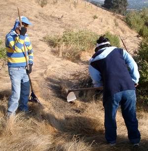 Quail Habitat Restoration Quail Habitat Restoration