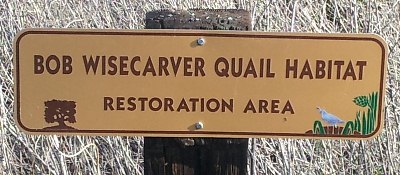 Quail Habitat Restoration