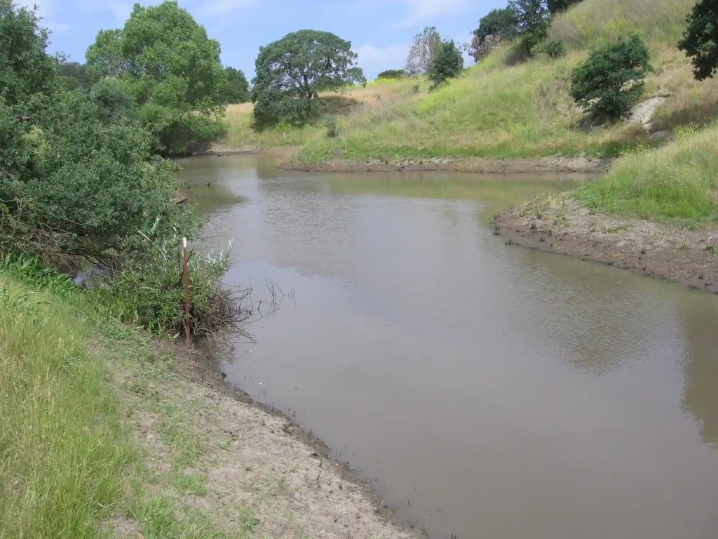 Indian Valley Pond Restoration