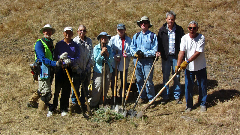 Shell Ridge Weed Eradication
